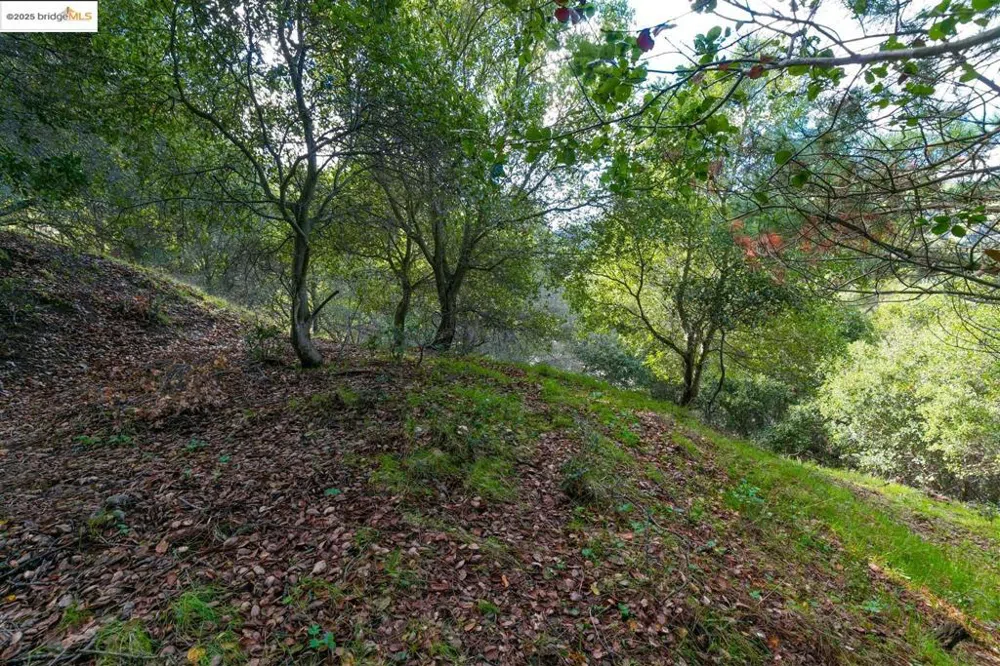 26 Lucille Way Orinda, CA 94563