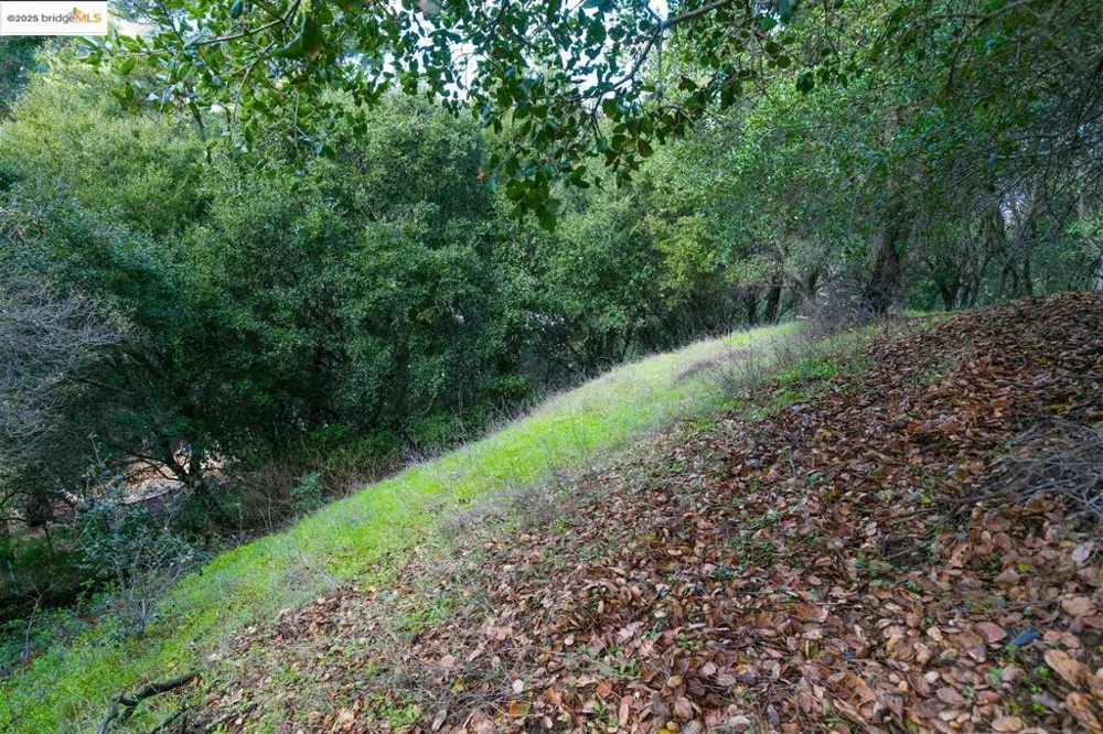 26 Lucille Way Orinda, CA 94563