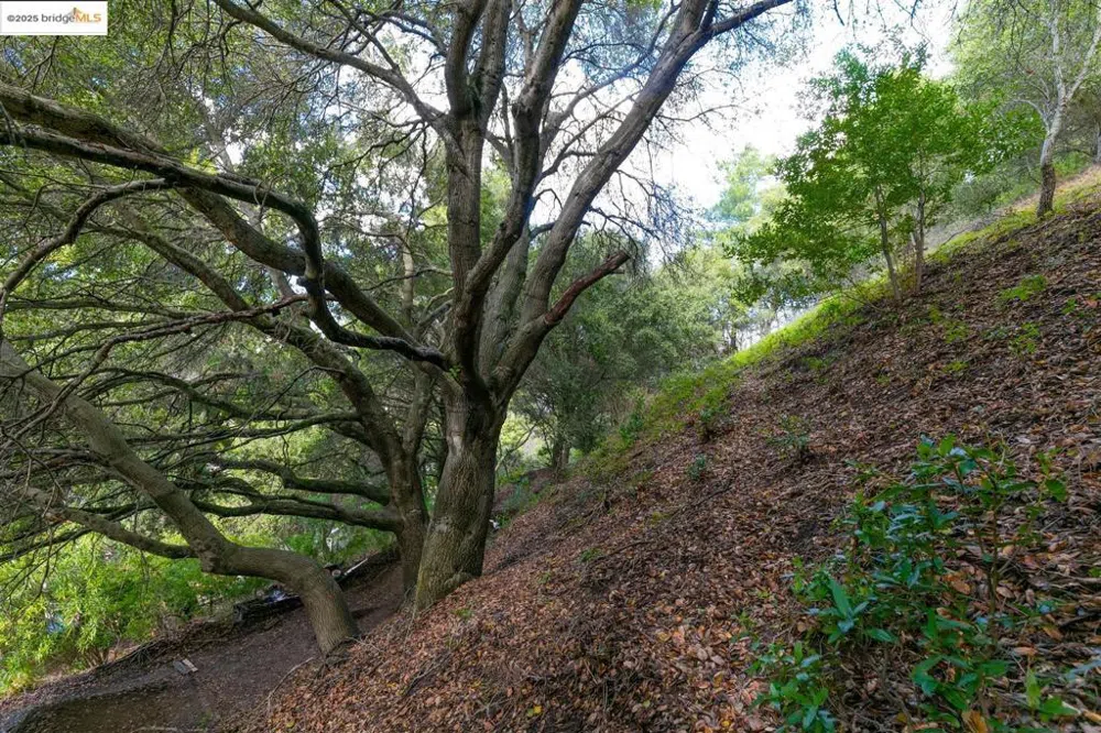 26 Lucille Way Orinda, CA 94563