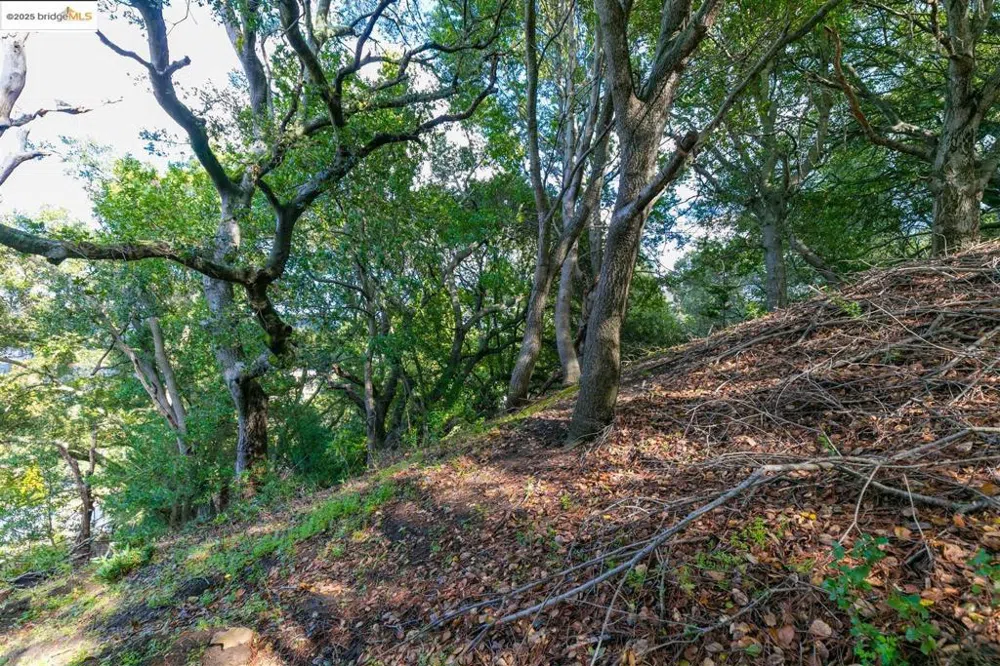 26 Lucille Way Orinda, CA 94563