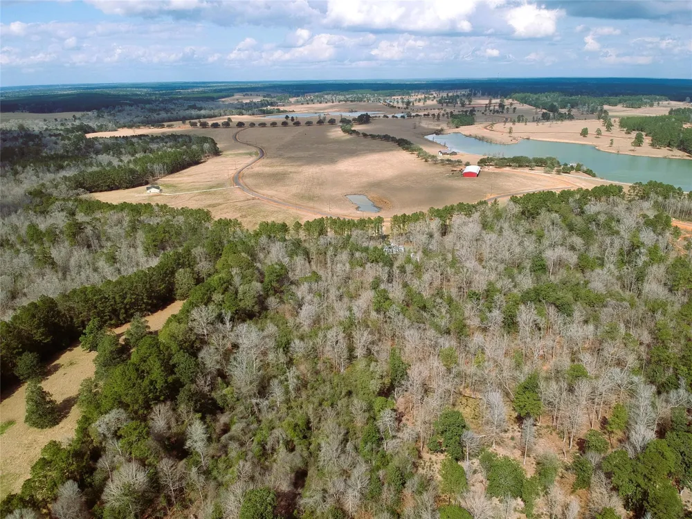 1 Lakeland Ranch Drive Hillister, TX 77624