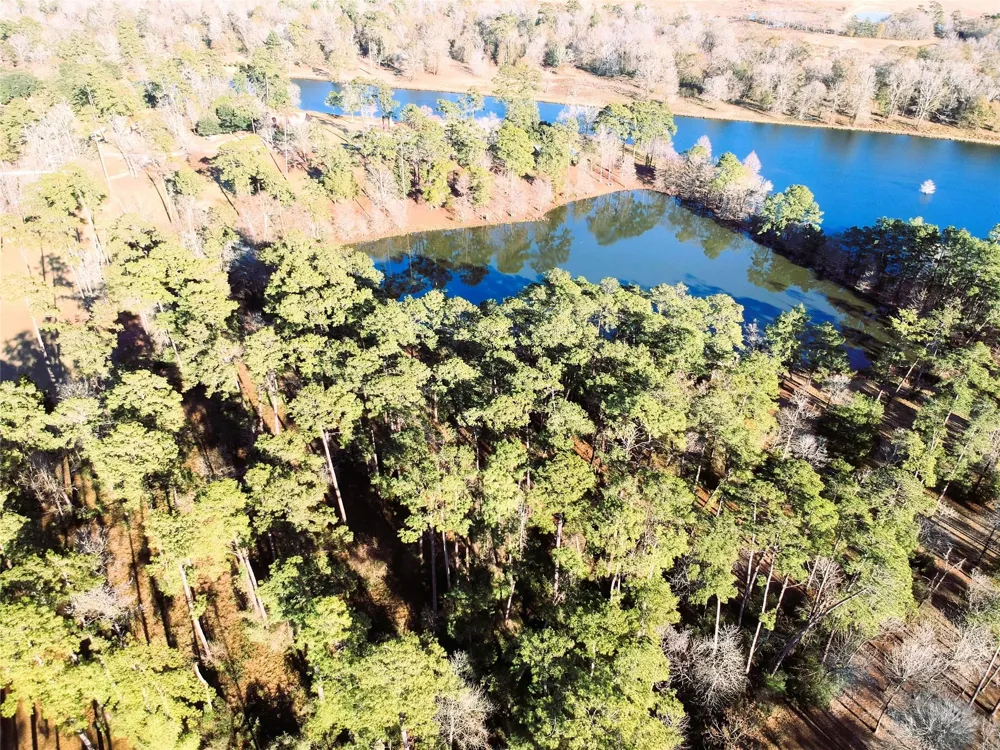 1 Lakeland Ranch Drive Hillister, TX 77624
