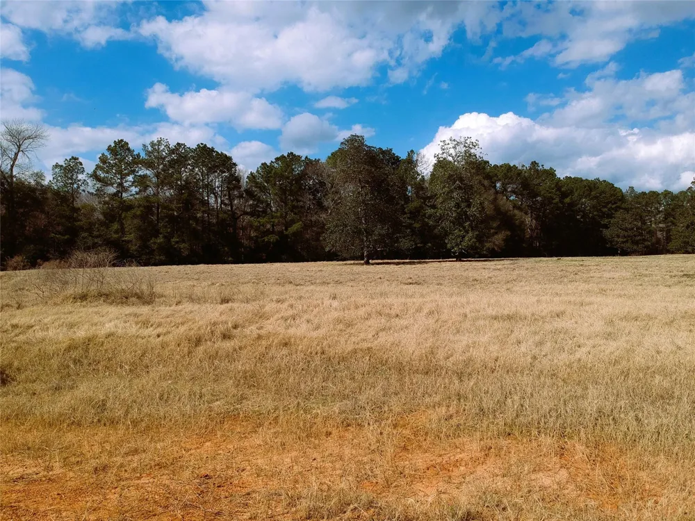 1 Lakeland Ranch Drive Hillister, TX 77624