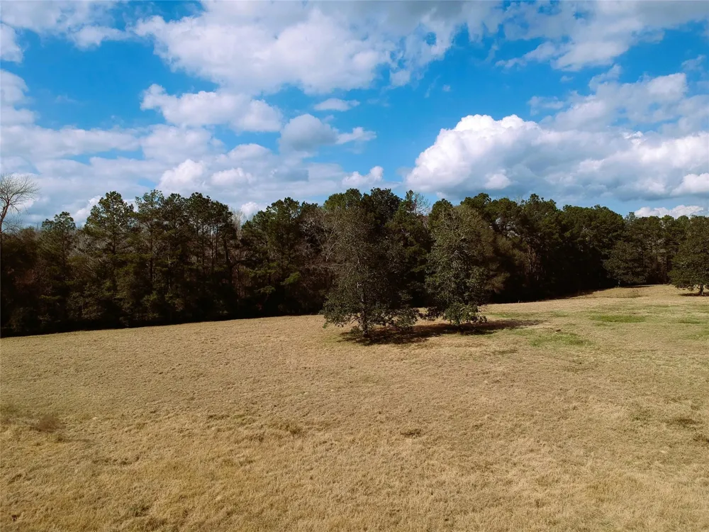 1 Lakeland Ranch Drive Hillister, TX 77624