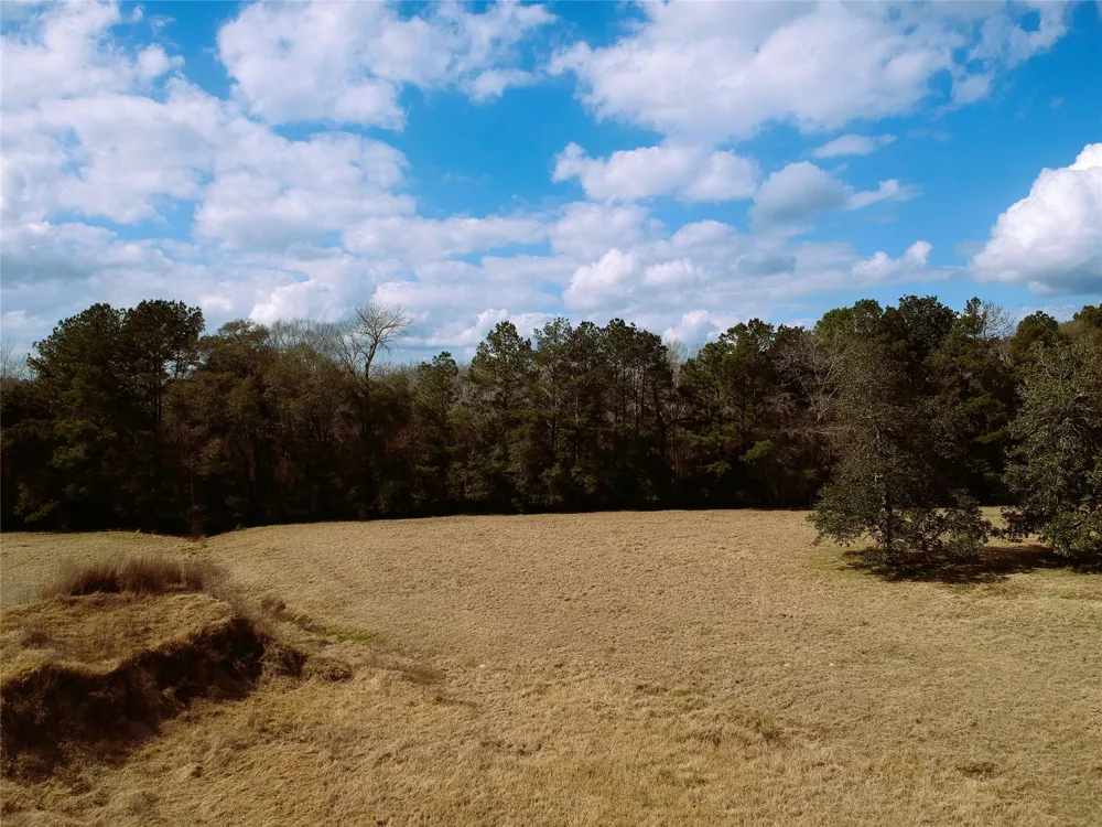1 Lakeland Ranch Drive Hillister, TX 77624