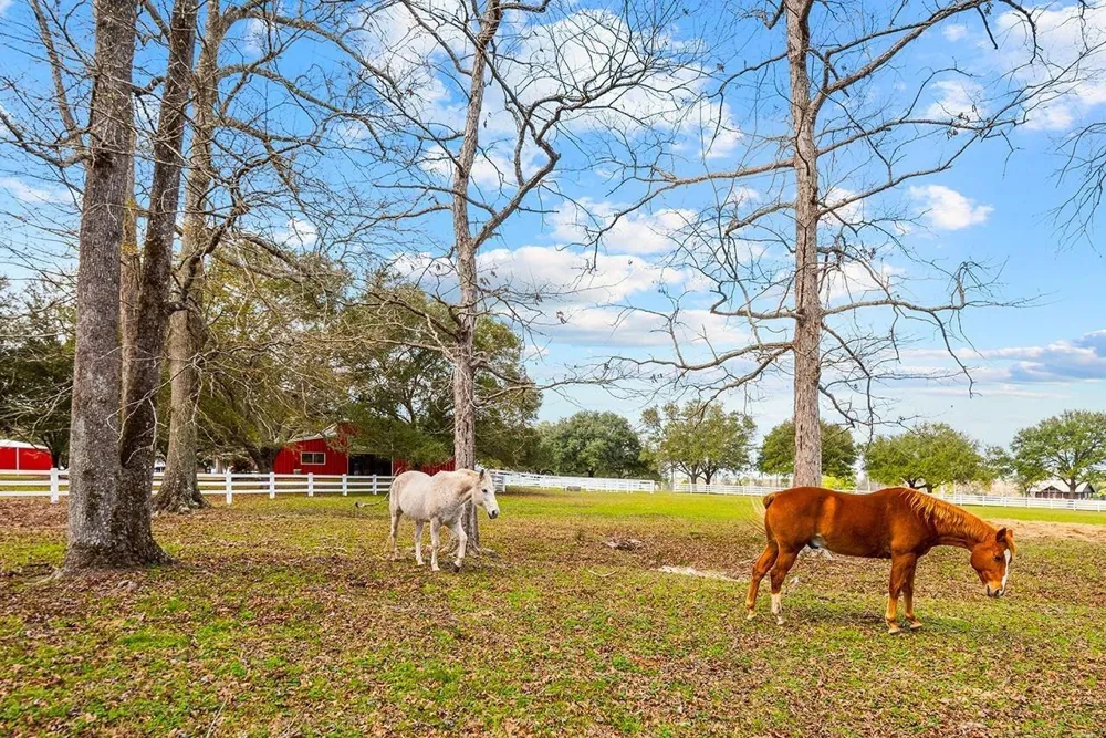 1 Lakeland Ranch Drive Hillister, TX 77624