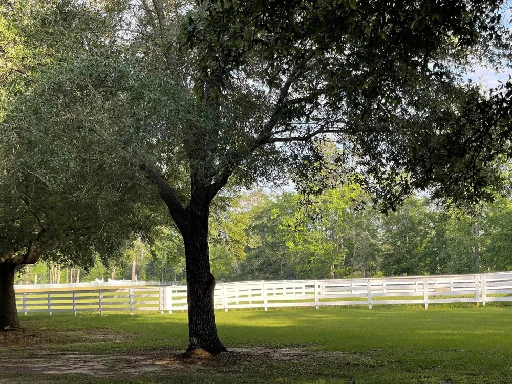 1 Lakeland Ranch Drive Hillister, TX 77624