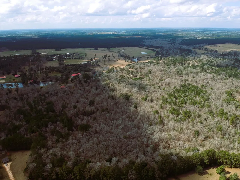 1 Lakeland Ranch Drive Hillister, TX 77624