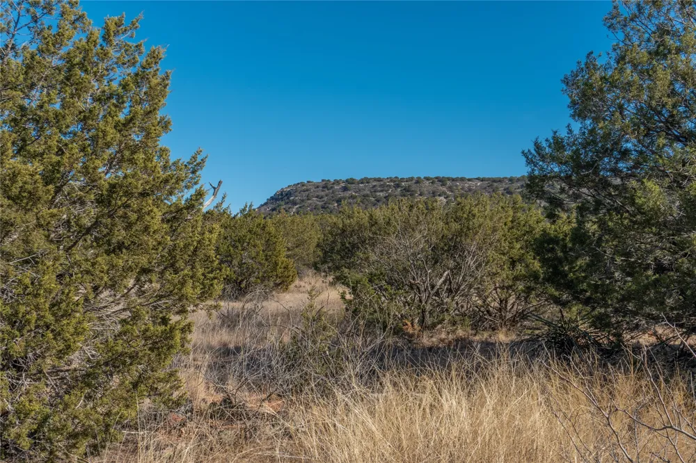 County Road 175 Winters, TX 79567