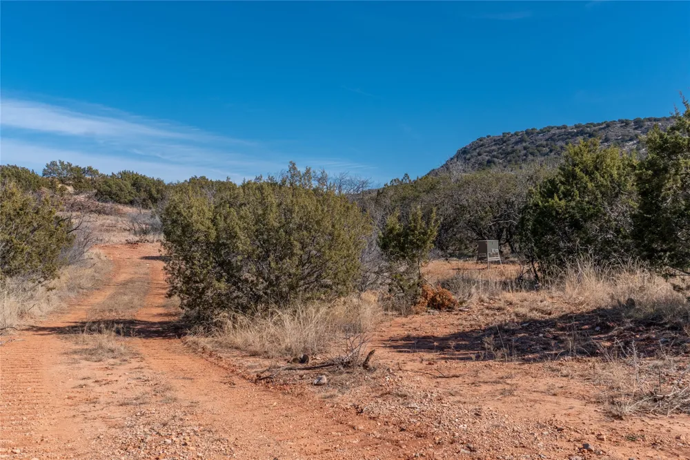 County Road 175 Winters, TX 79567