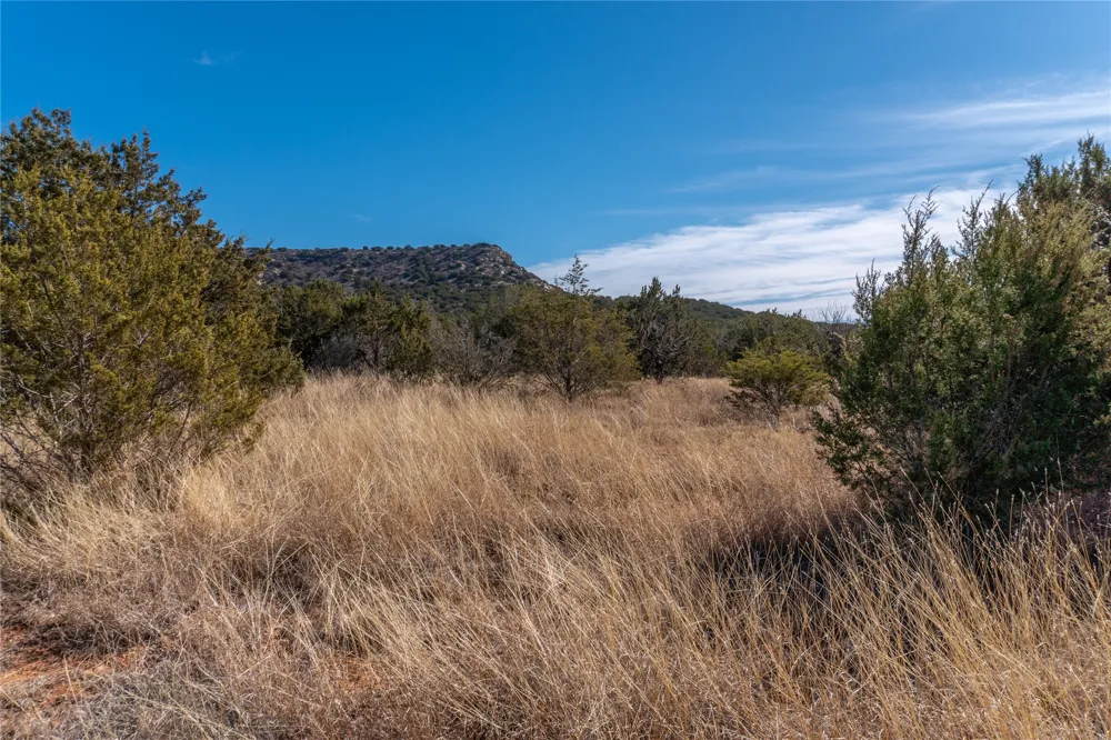 County Road 175 Winters, TX 79567