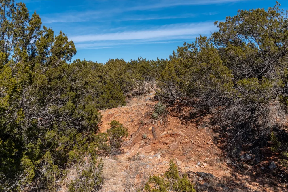 County Road 175 Winters, TX 79567