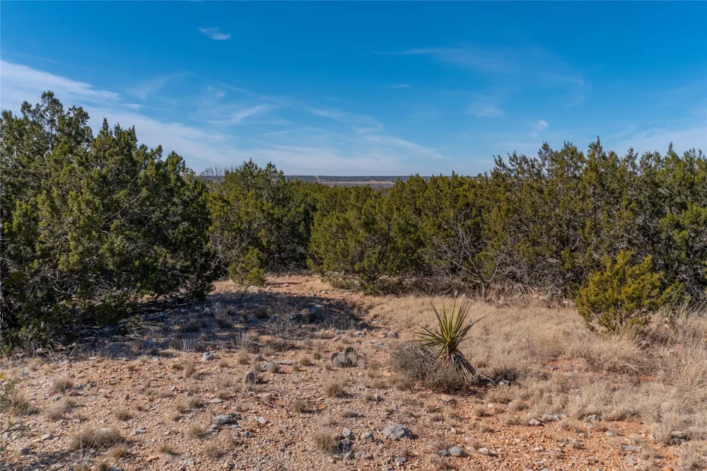 County Road 175 Winters, TX 79567