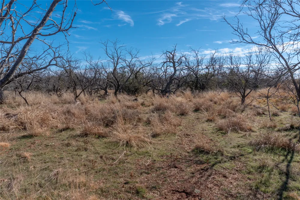 County Road 175 Winters, TX 79567