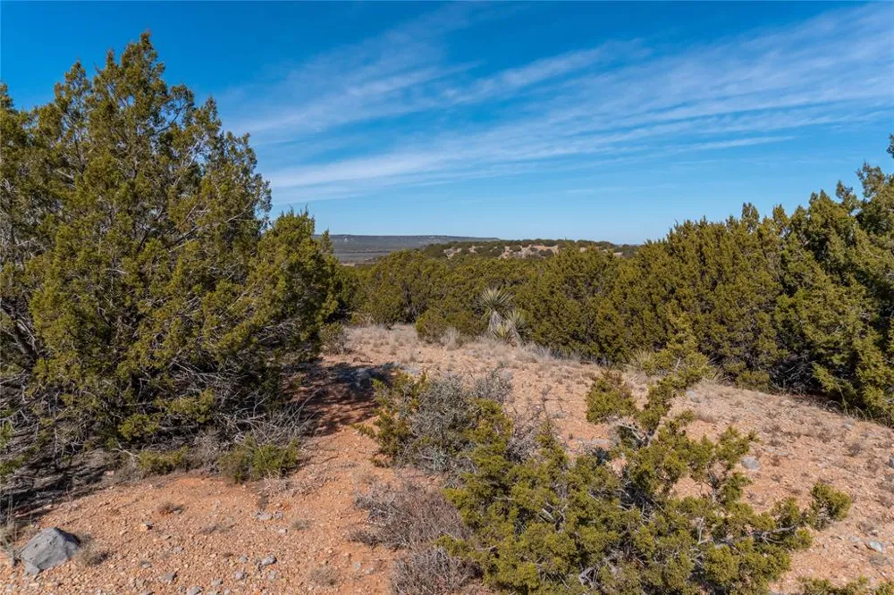 County Road 175 Winters, TX 79567