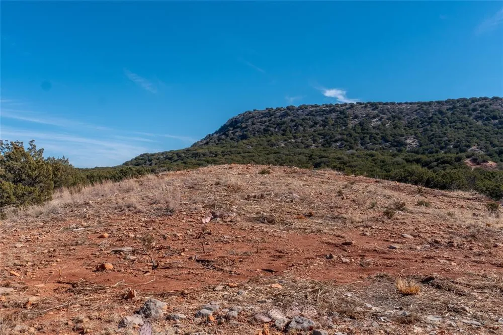 County Road 175 Winters, TX 79567
