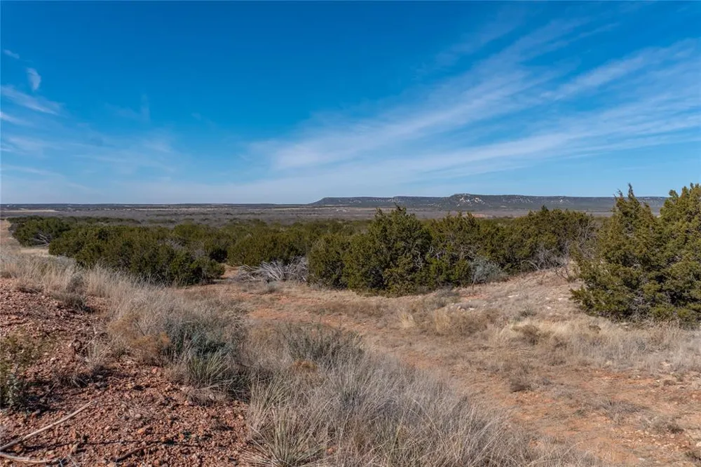 County Road 175 Winters, TX 79567