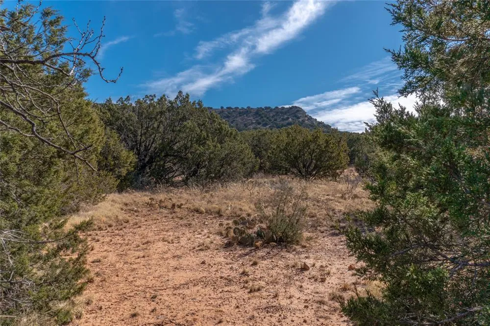 County Road 175 Winters, TX 79567