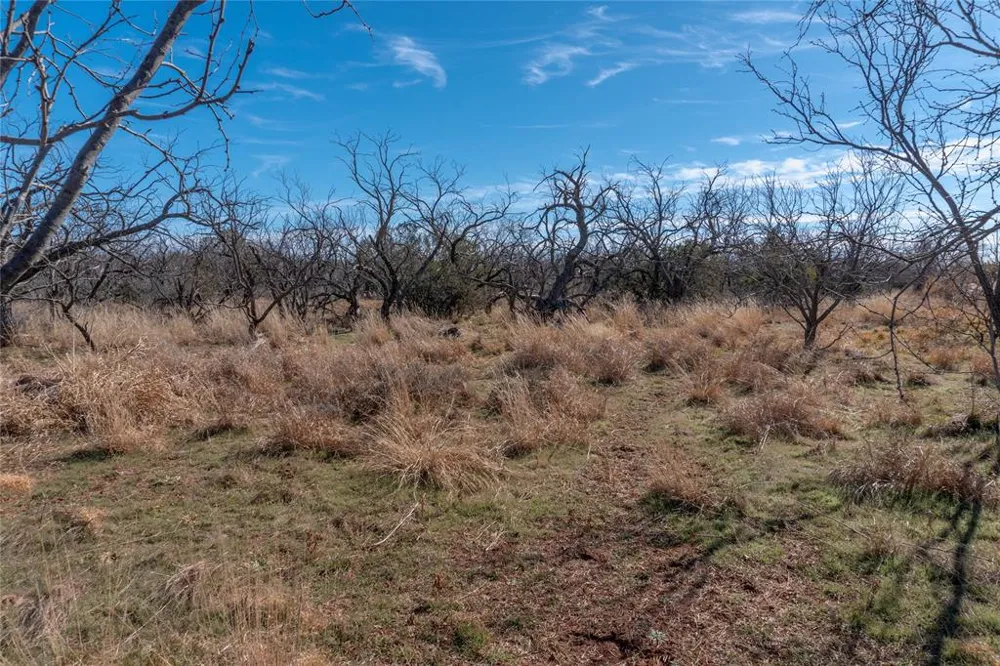 County Road 175 Winters, TX 79567