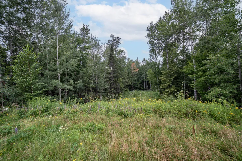 45xx - Lot B2 Norway Pines Pl Hermantown, MN 55811