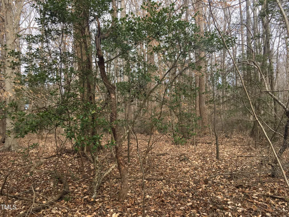 Tbd Siler City Snow Camp Road Siler City, NC 27344