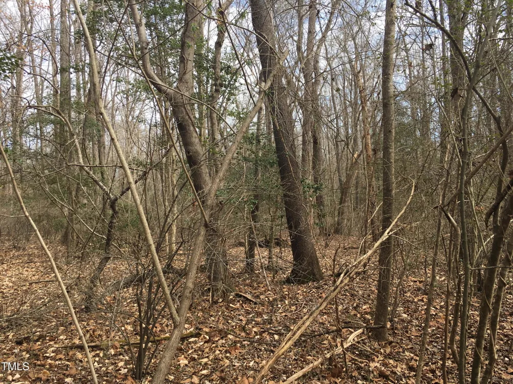Tbd Siler City Snow Camp Road Siler City, NC 27344