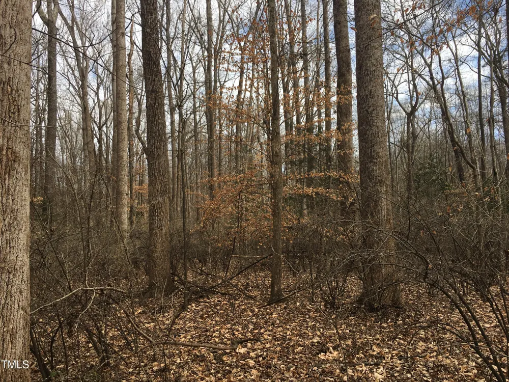 Tbd Siler City Snow Camp Road Siler City, NC 27344