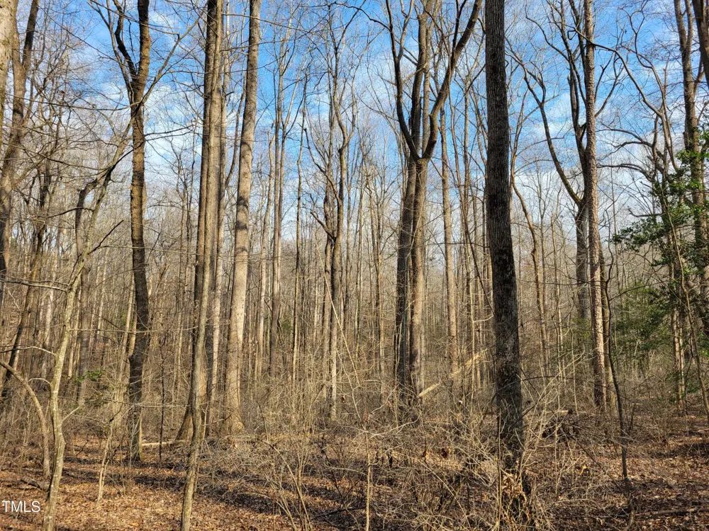 Tbd Siler City Snow Camp Road Siler City, NC 27344