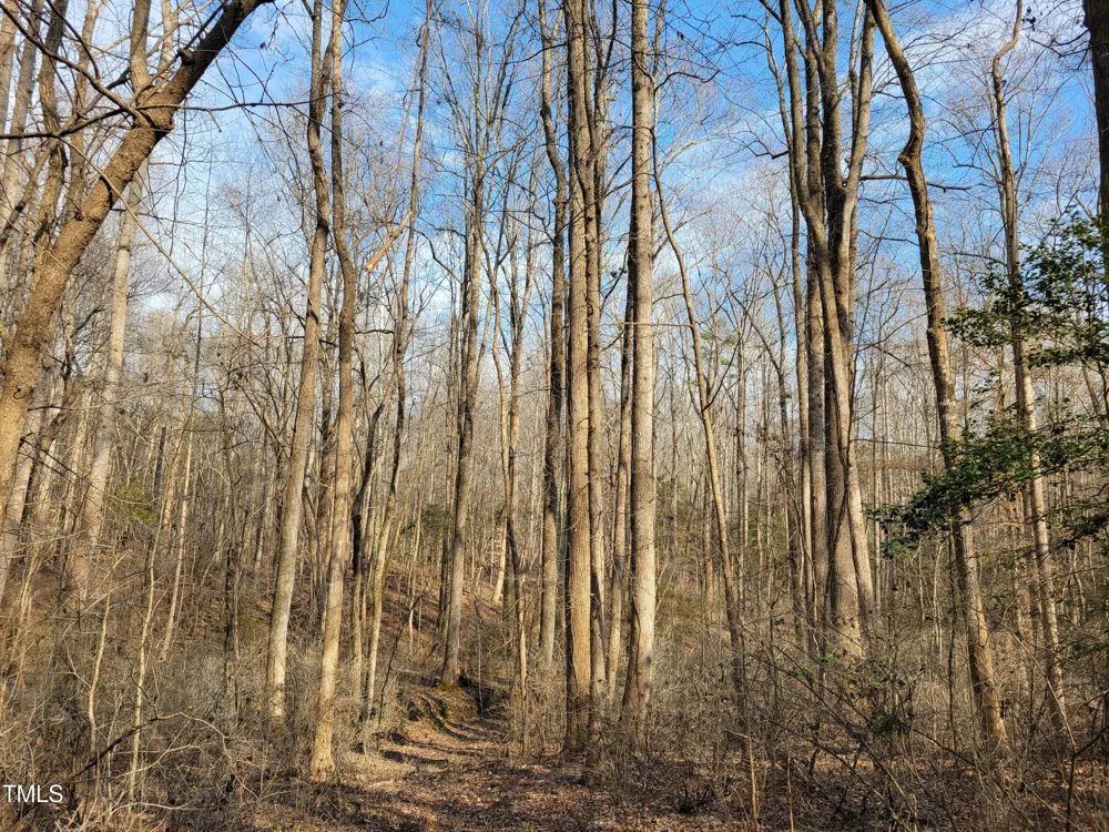 Tbd Siler City Snow Camp Road Siler City, NC 27344