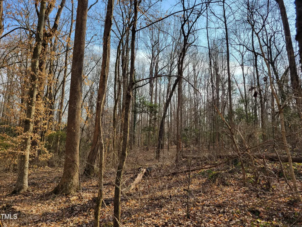Tbd Siler City Snow Camp Road Siler City, NC 27344