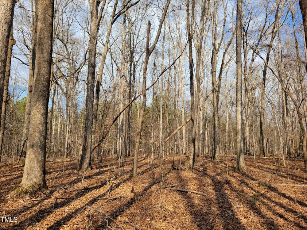 Tbd Siler City Snow Camp Road Siler City, NC 27344