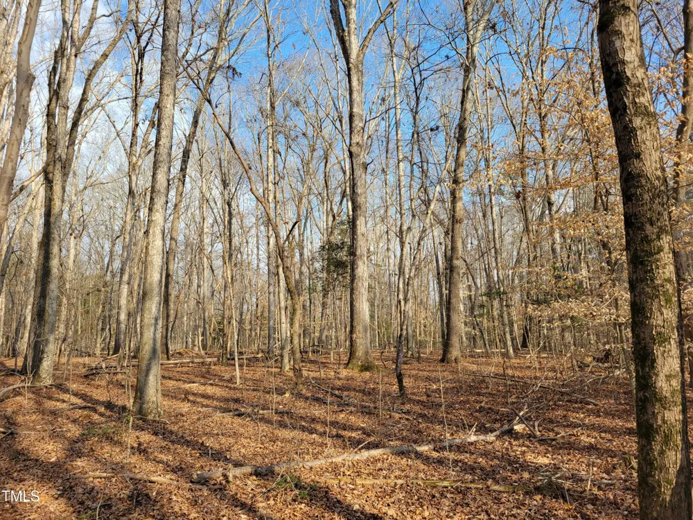 Tbd Siler City Snow Camp Road Siler City, NC 27344