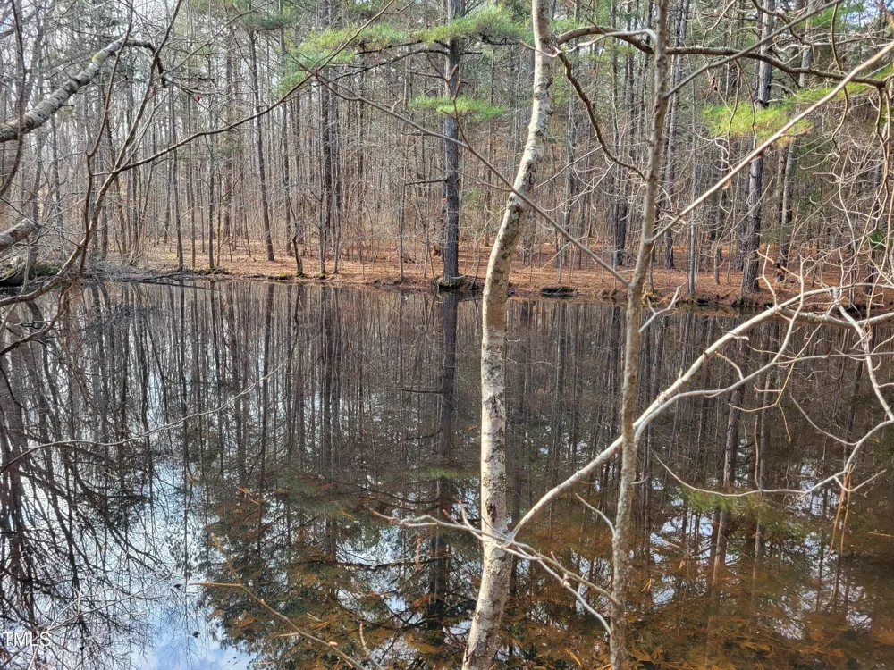 Tbd Siler City Snow Camp Road Siler City, NC 27344