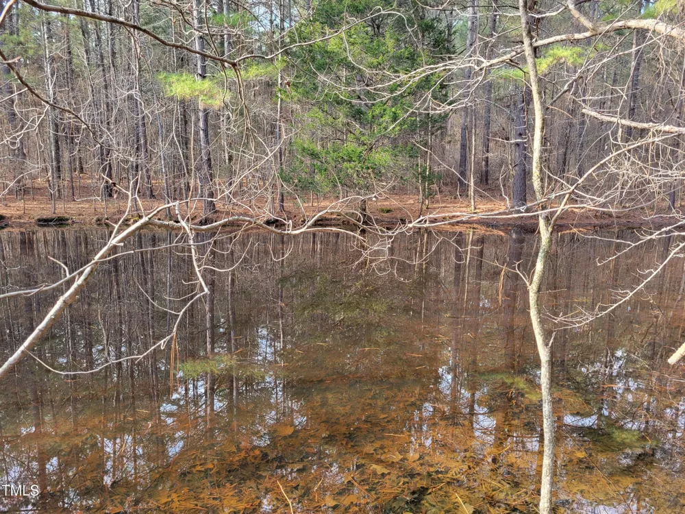 Tbd Siler City Snow Camp Road Siler City, NC 27344