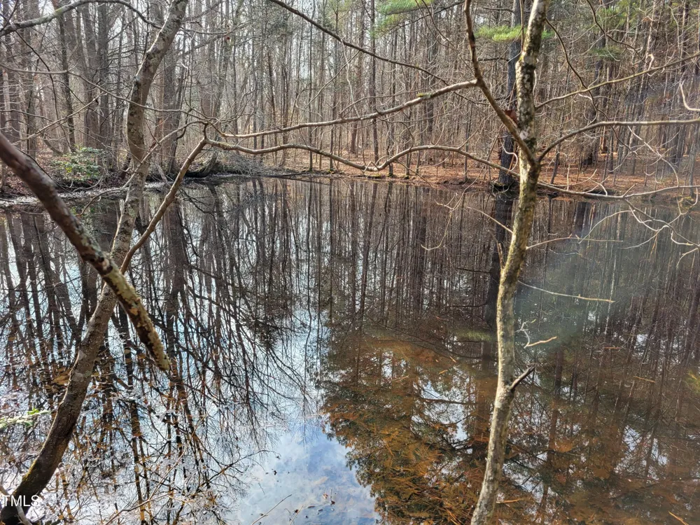 Tbd Siler City Snow Camp Road Siler City, NC 27344