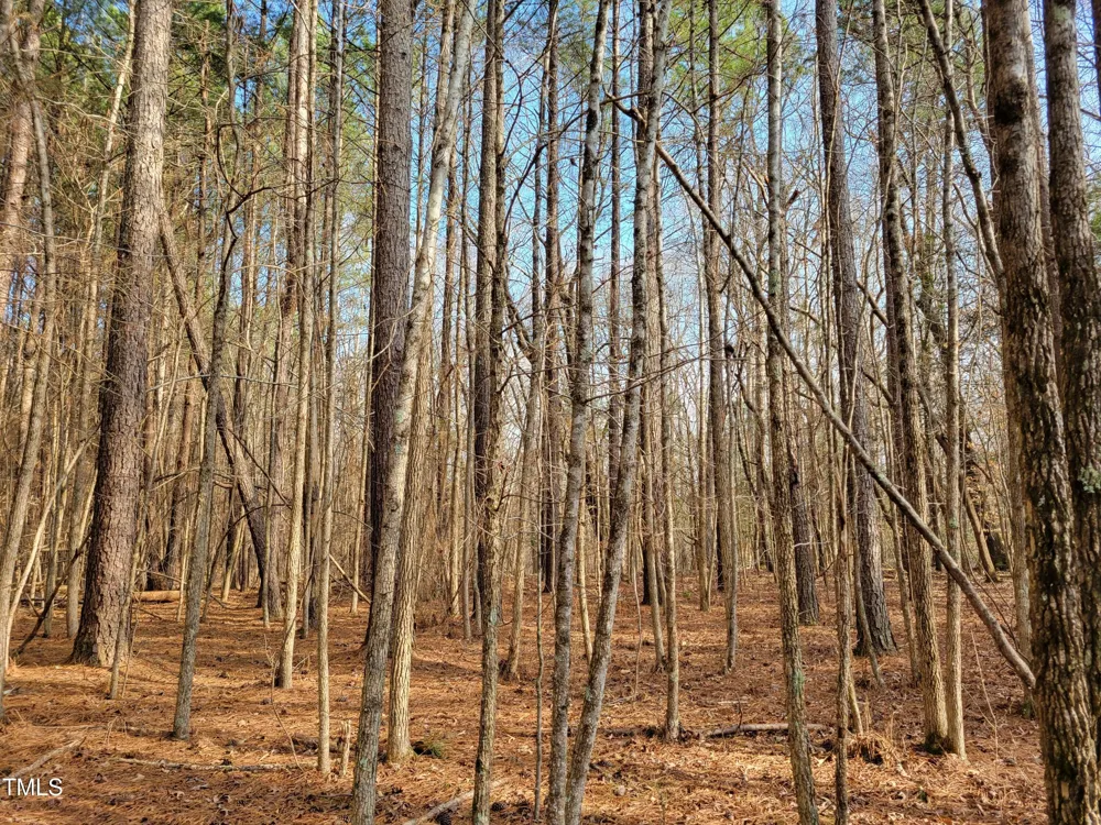 Tbd Siler City Snow Camp Road Siler City, NC 27344
