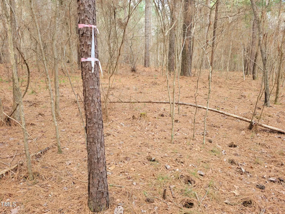 Tbd Siler City Snow Camp Road Siler City, NC 27344