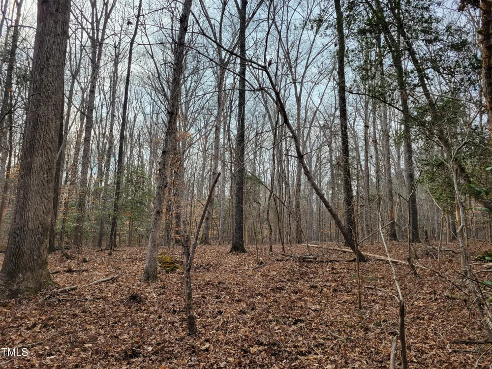 Tbd Siler City Snow Camp Road Siler City, NC 27344