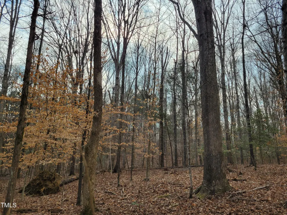 Tbd Siler City Snow Camp Road Siler City, NC 27344