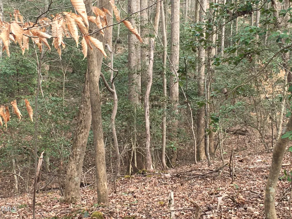 Tbd Siler City Snow Camp Road Siler City, NC 27344