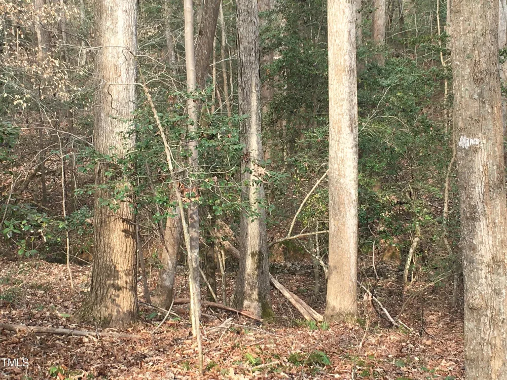 Tbd Siler City Snow Camp Road Siler City, NC 27344
