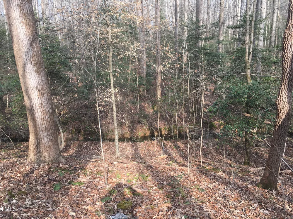 Tbd Siler City Snow Camp Road Siler City, NC 27344