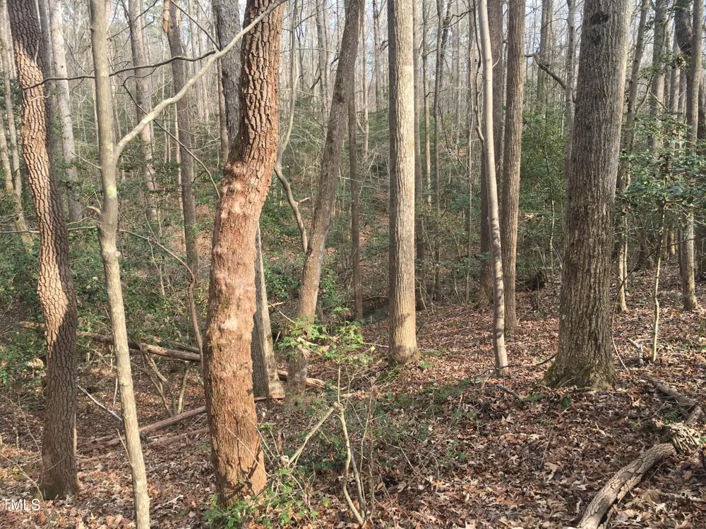Tbd Siler City Snow Camp Road Siler City, NC 27344