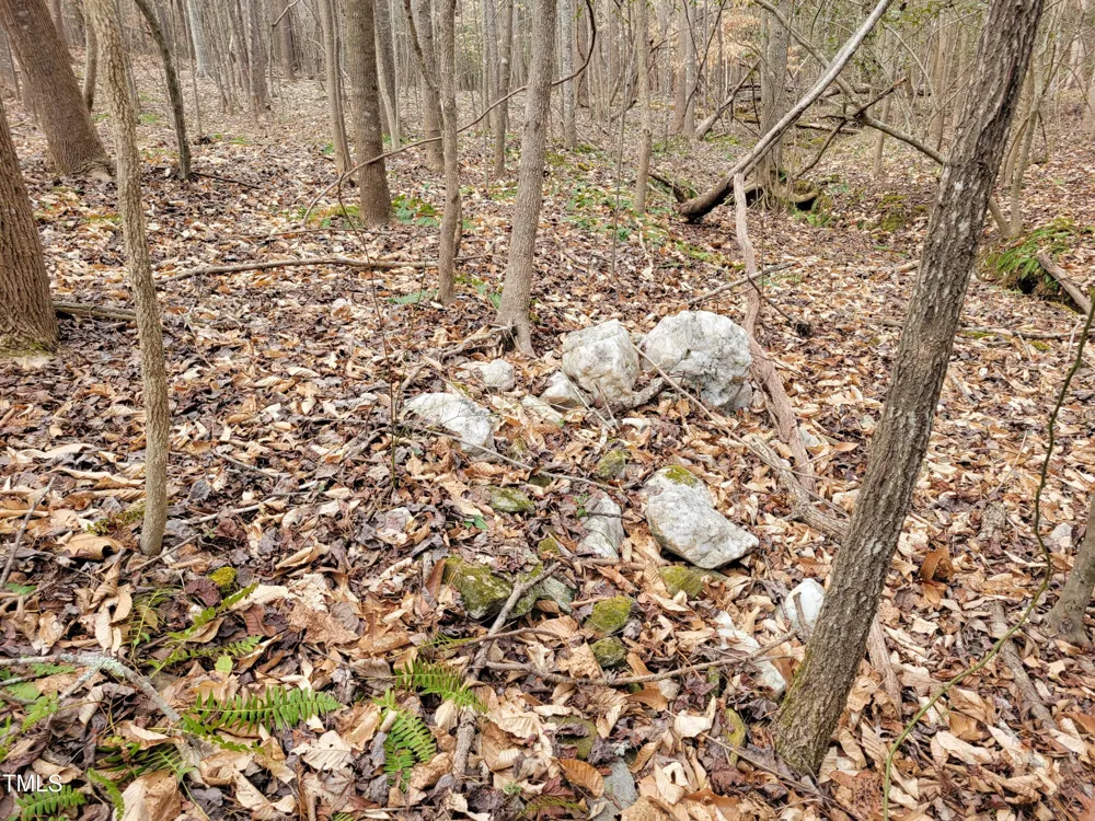 Tbd Siler City Snow Camp Road Siler City, NC 27344