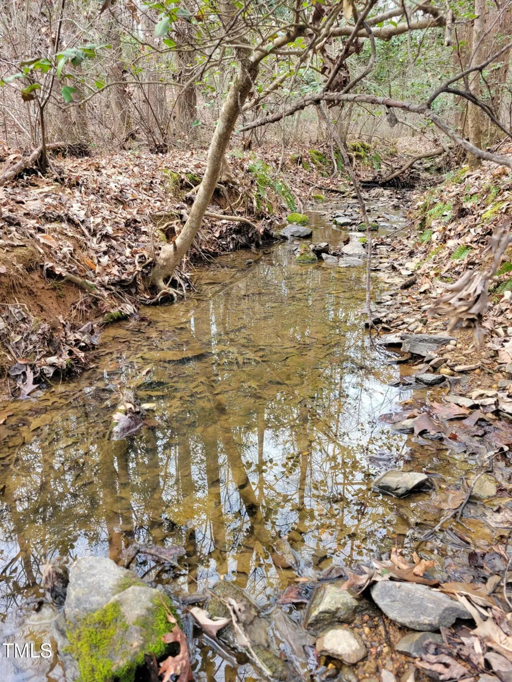 Tbd Siler City Snow Camp Road Siler City, NC 27344