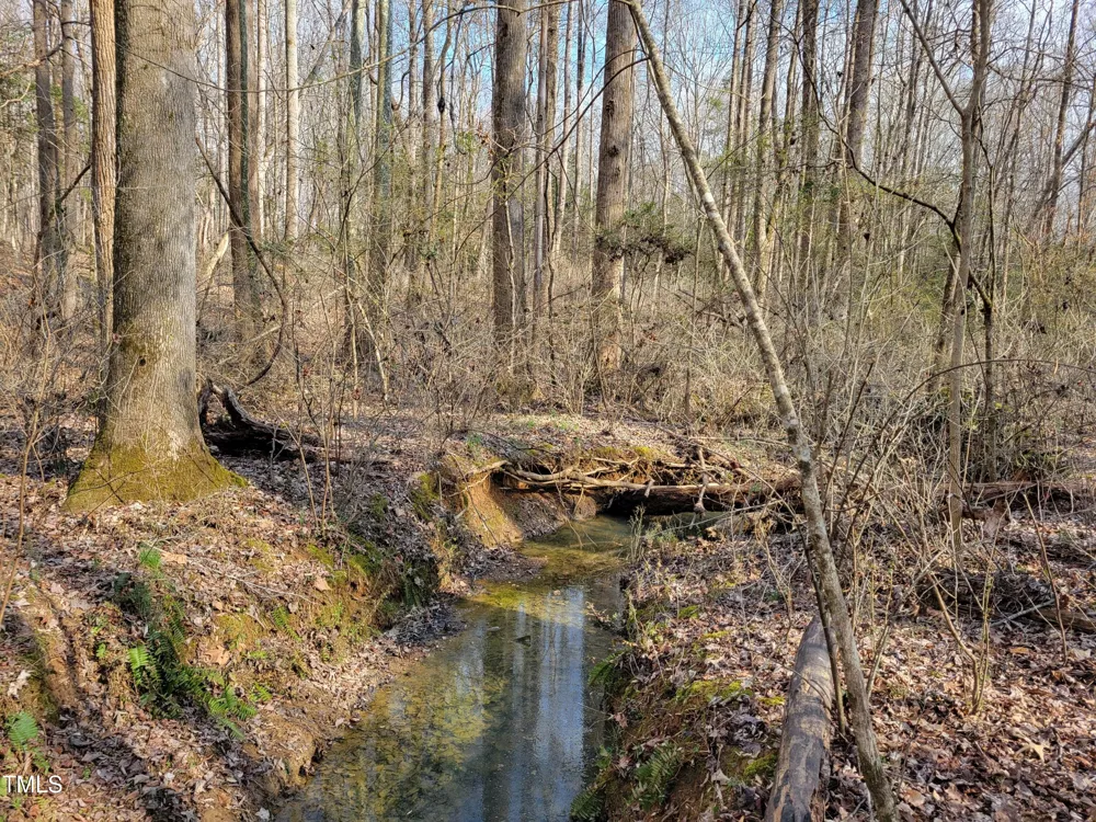 Tbd Siler City Snow Camp Road Siler City, NC 27344