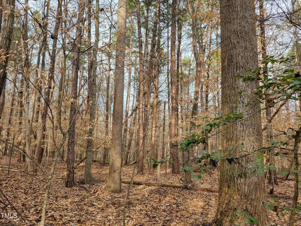Tbd Siler City Snow Camp Road Siler City, NC 27344