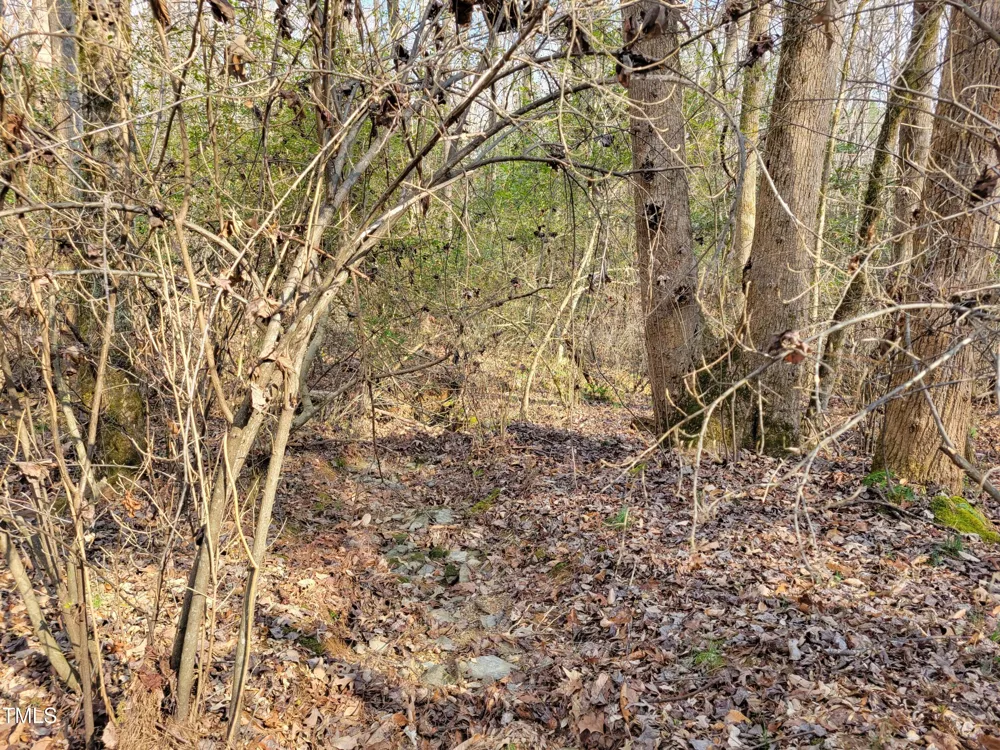 Tbd Siler City Snow Camp Road Siler City, NC 27344