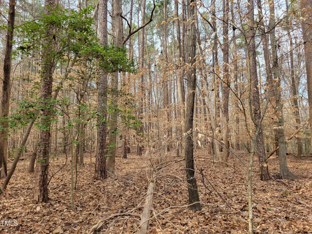 Tbd Siler City Snow Camp Road Siler City, NC 27344