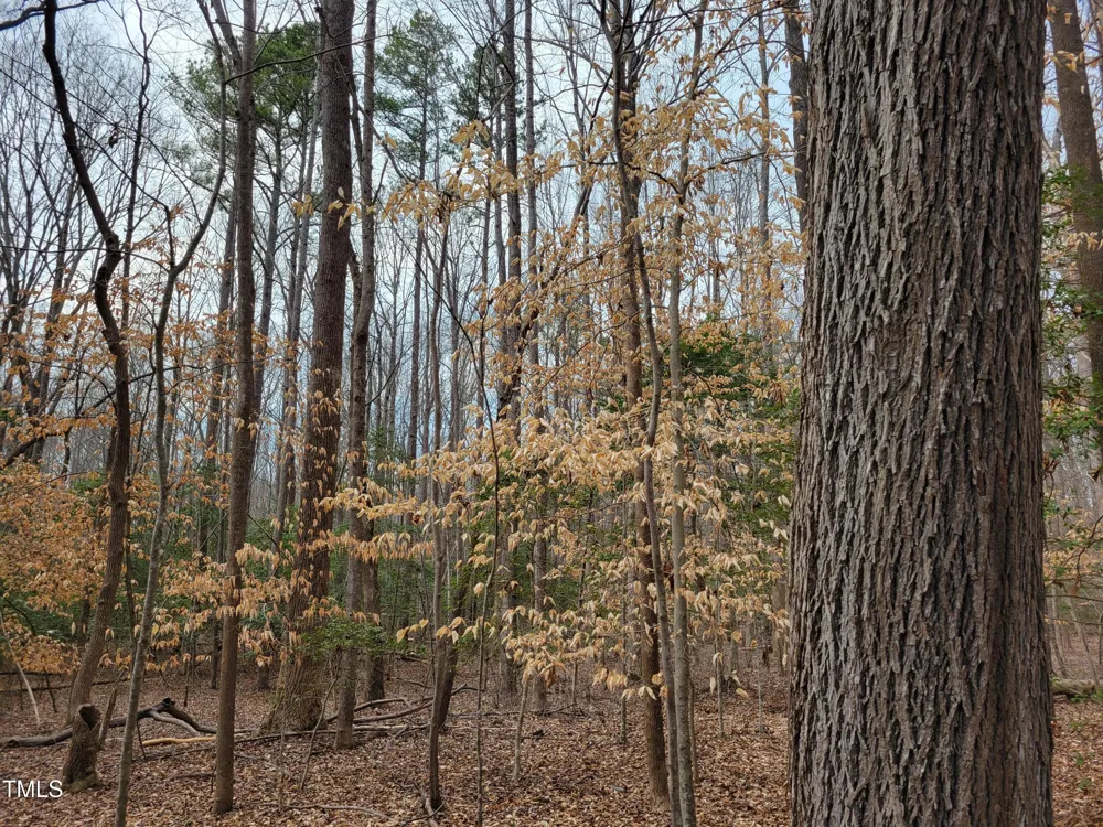 Tbd Siler City Snow Camp Road Siler City, NC 27344